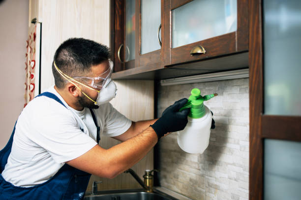 Best Pest Inspection Near Me  in Encinitas, CA