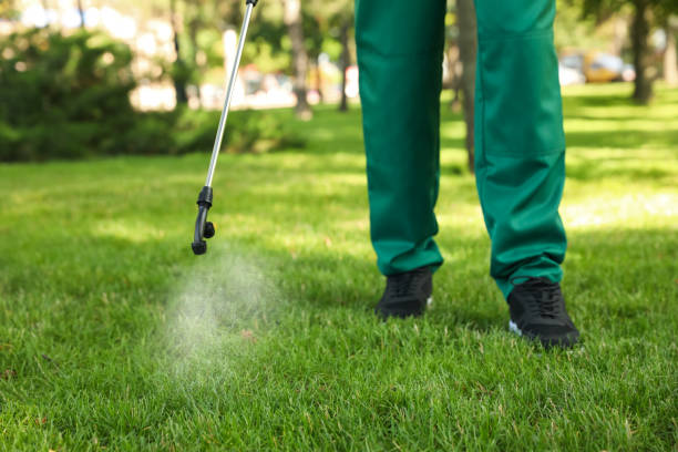 Best Mosquito Control Services  in Encinitas, CA