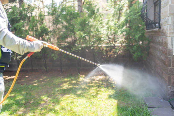 Best Ant Control Services  in Encinitas, CA