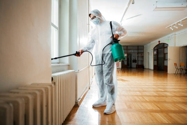 Best Rat Extermination Near Me  in Encinitas, CA