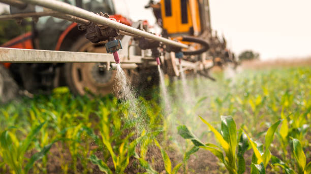 Best Mosquito Control Services  in Encinitas, CA